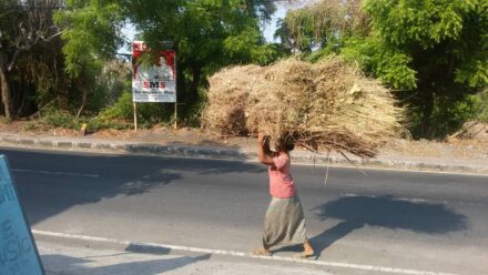 Tady se vsechno zeny nosi na hlave a bez drzeni! Chapu ...