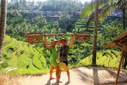 Tak už je to tady! Rádi bychom Vám představili náš web...