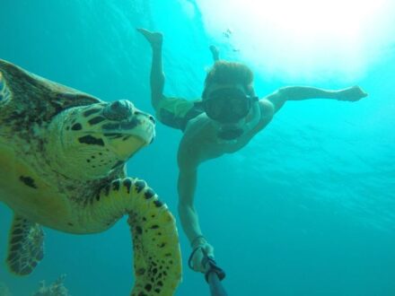 Snorchlovani se zelvama na Gili Meno :) <3