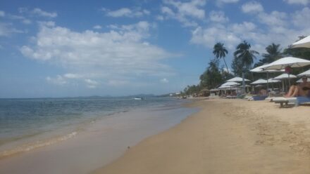 Dont't dream your life, live your dream <3