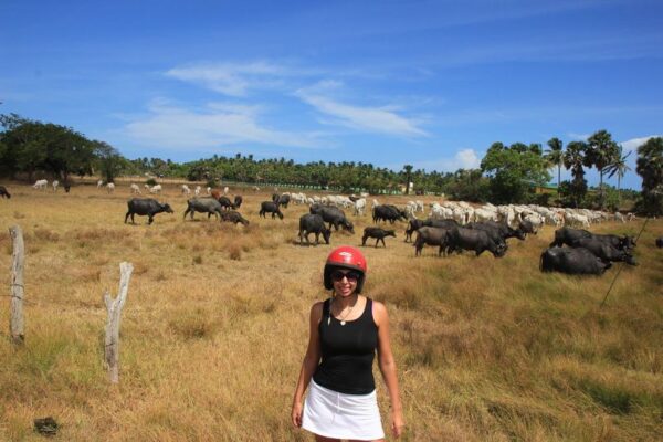 Procházím si fotky ze Srí Lanky a je to úžasný pocit! :...